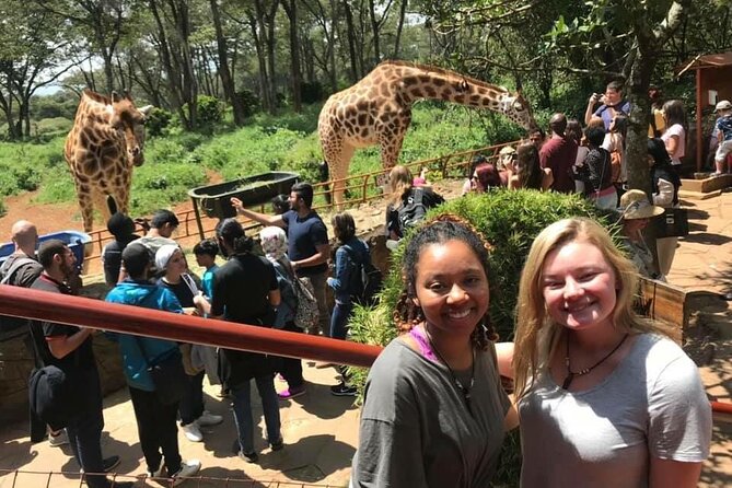 Elephant Orphanage and Giraffe Center Nairobi Day Tour - What private transport changes