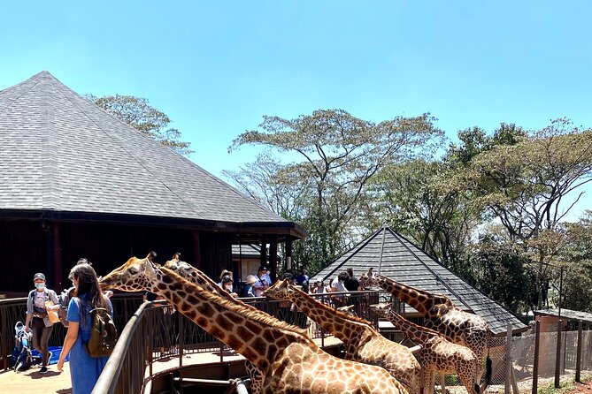 Elephant Orphanage and Giraffe Center Nairobi Day Tour - Is $194.81 a fair price?