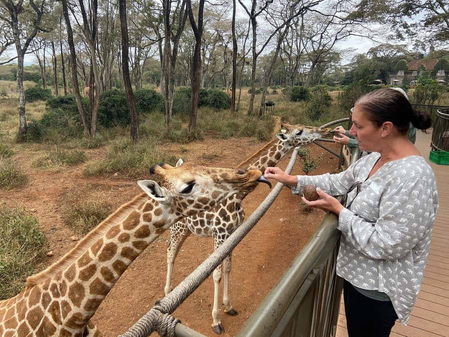 Elephant Orphanage and Giraffe Center Tour with Options - Adding a Nairobi National Park game drive