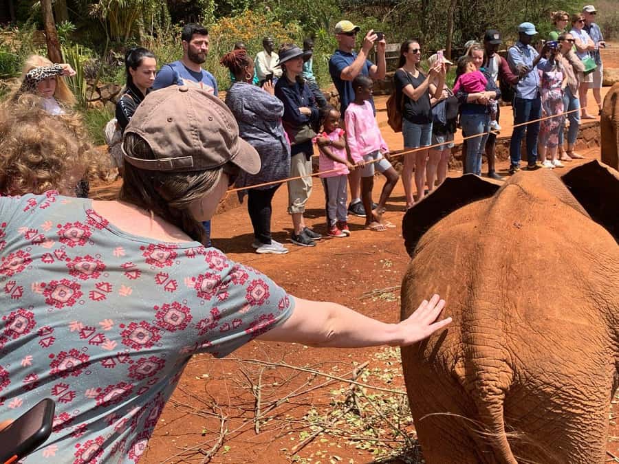 Elephant Orphanage and Giraffe Center Tour with Options - Hotel transfers, guides, and the reality of Nairobi traffic