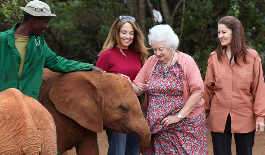 Elephant Orphanage,Giraffe Center&Karen Blixxen Day TripTour - Baby elephants take center stage