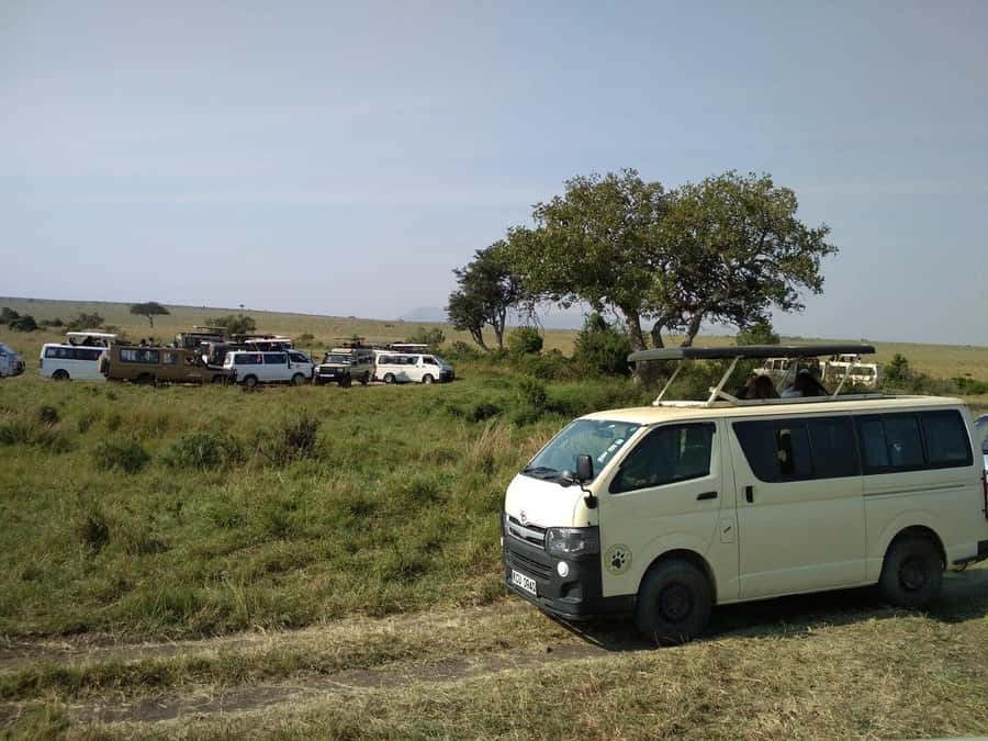 Elephant Orphanage,Giraffe Center&Karen Blixxen Day TripTour - Practical booking advice