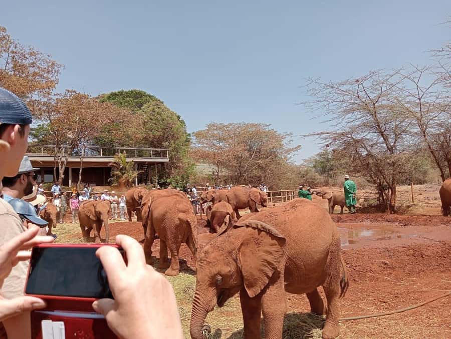 Elephant Orphanage,Giraffe Center&Karen Blixxen Day TripTour - Karen Blixen’s farmhouse and the story of Out of Africa
