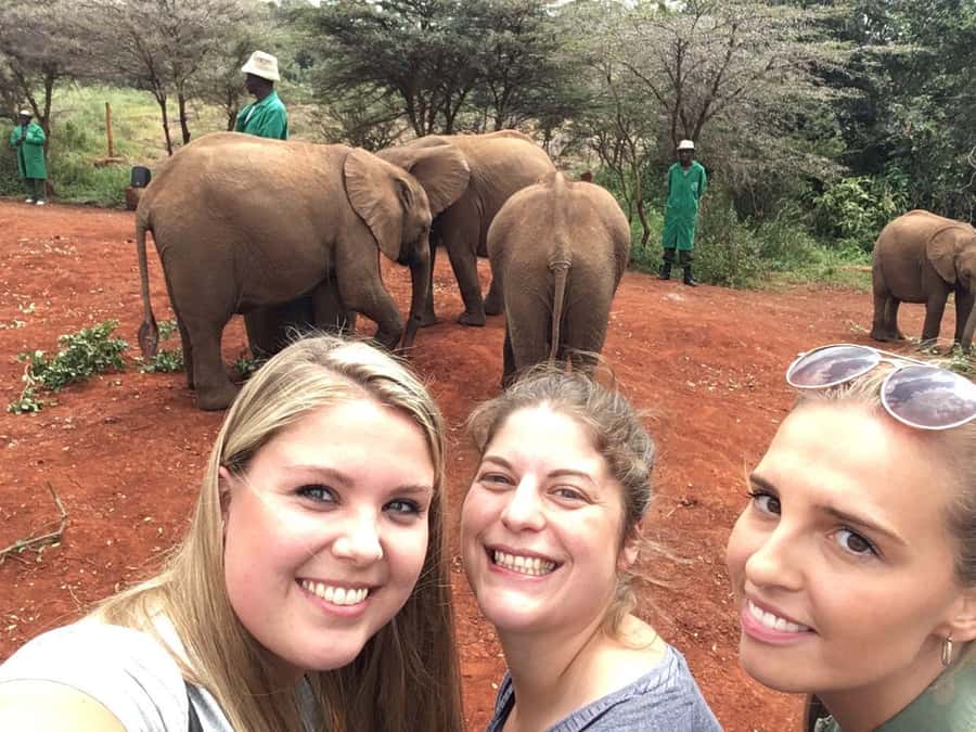 Elephant Orphanage Trust, Giraffes & Bomas of Kenya Day Tour - Who should book this tour?