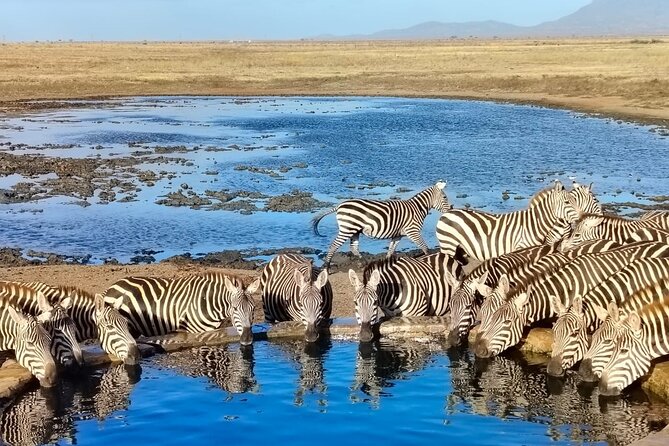 Elky Tours 2 Days Tsavo East Tour - Key points to know before booking