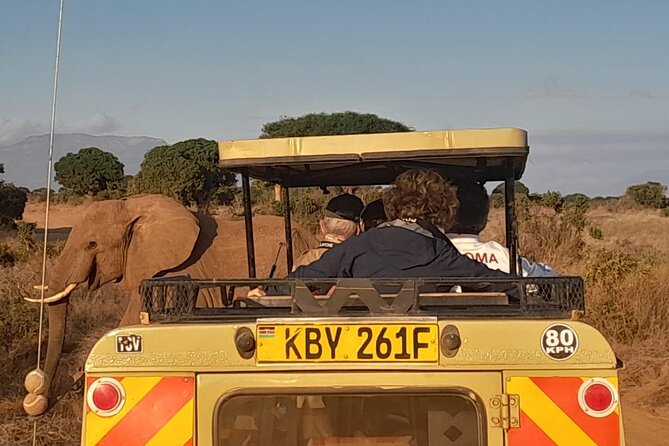 Elky Tours 2 Days Tsavo East Tour - What the guide can add to the day