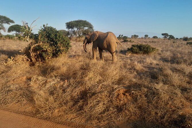 Elky Tours 2 Days Tsavo East Tour - What $435 per person covers