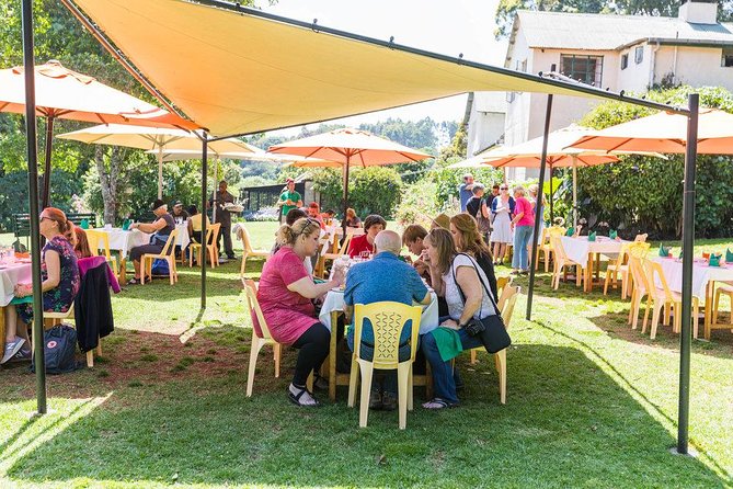 Excursion to Kiambethu Tea Farm - Why Kiambethu Farm makes a good Nairobi day trip