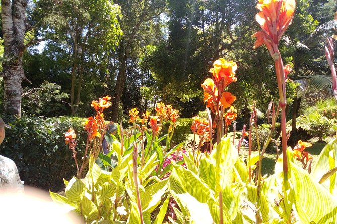 Excursion to Kiambethu Tea Farm - African tea tasting and the farm lunch