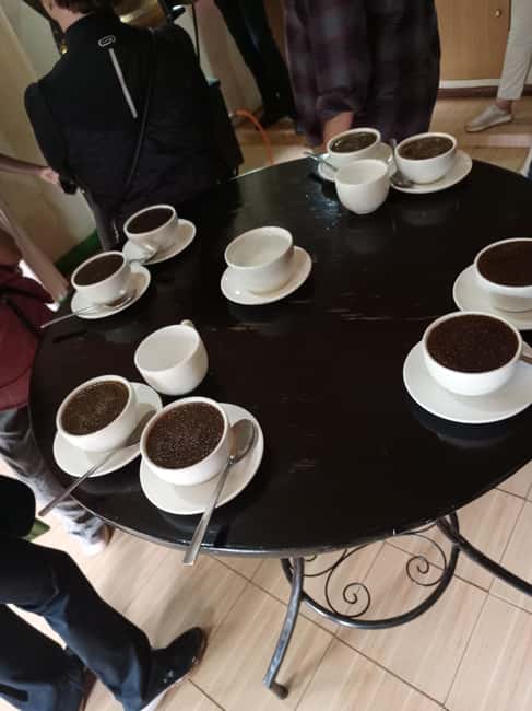 FAIRVIEW COFFEE FARM DAY TOUR - Why Fairview makes a good Nairobi half-day