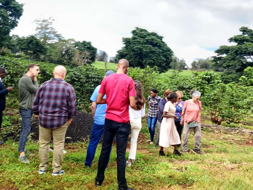 FAIRVIEW COFFEE FARM DAY TOUR - The ride from your hotel to Fairview