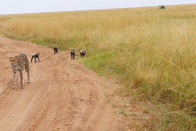 Family & Friends safari Full package . - Day 3: Lake Naivasha and Crescent Island