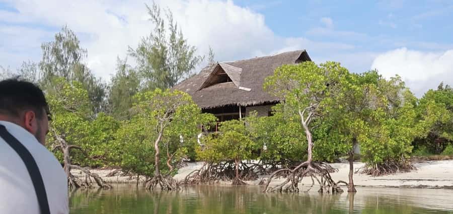 From Diani Beach: Funzi Island Full Day Excursion with Lunch - Shopping for local souvenirs