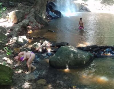 Full Day Shimba hills tour with Sheldrick Falls