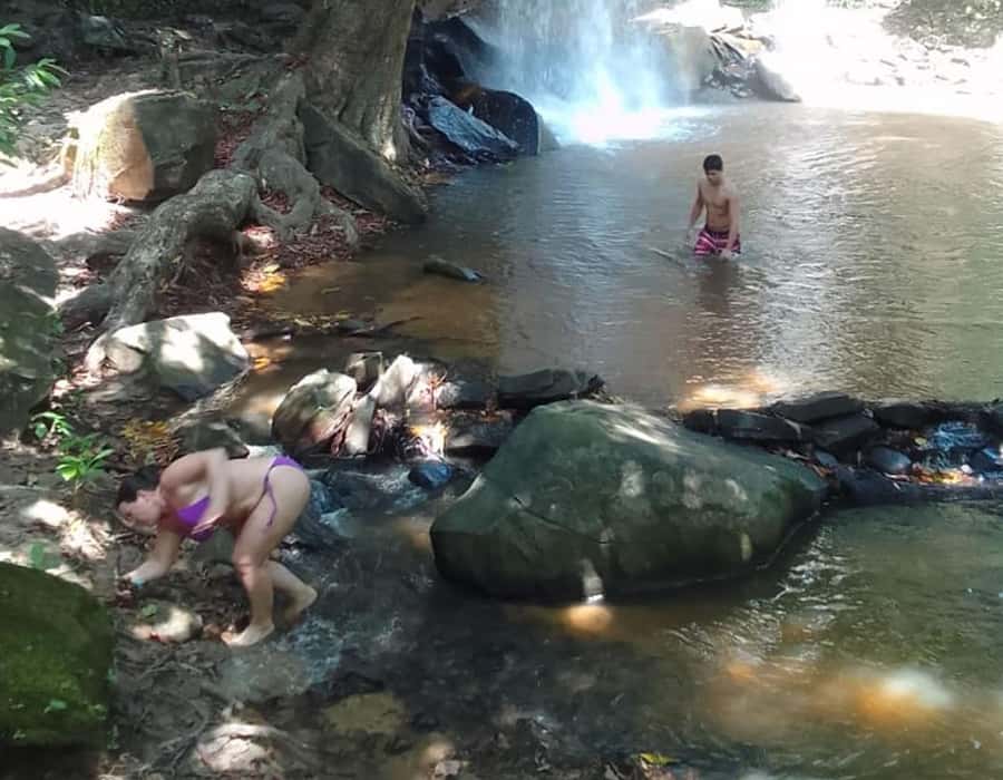 From Diani: Full Day Shimba hills tour with Sheldrick Falls - The 7:00 AM Pickup and Drive Into the Hills