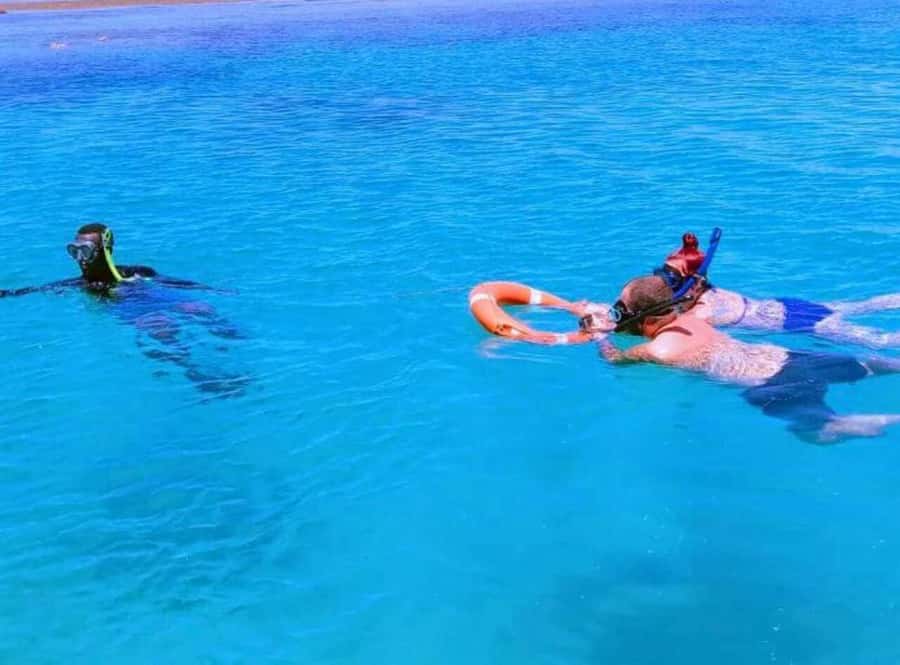 From Mombasa: Kisite Mpunguti Marine Park and Wasini Island - Who should book this excursion