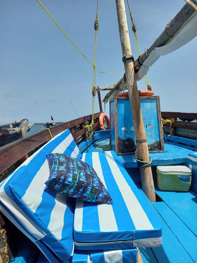 From Mombasa: Kisite Mpunguti Marine Park and Wasini Island - Why this day works so well