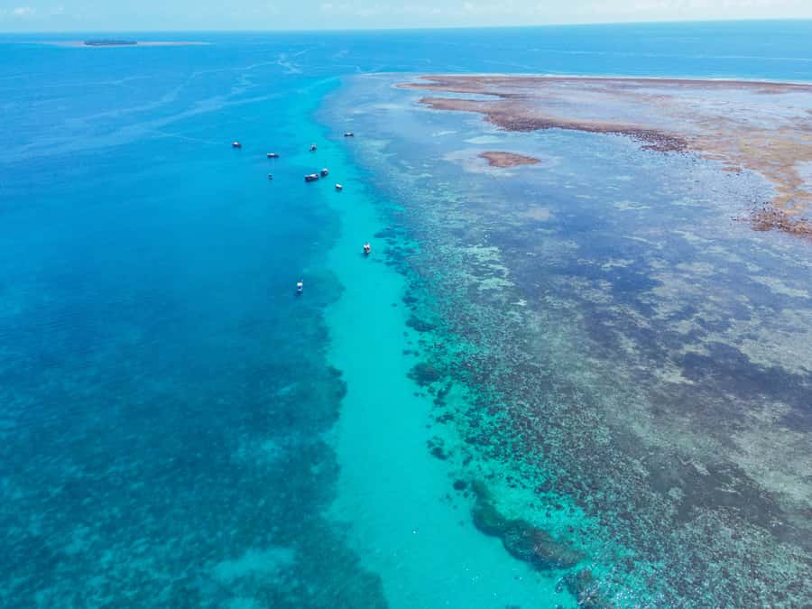 From Mombasa: Kisite Mpunguti Marine Park and Wasini Island - Snorkeling at Kisite Mpunguti Marine Park