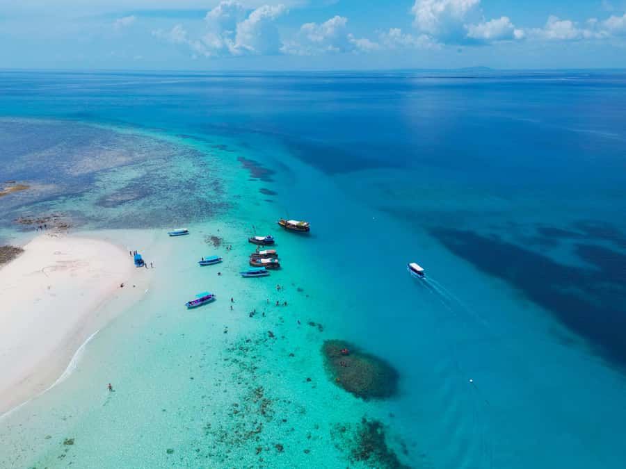 From Mombasa: Kisite Mpunguti Marine Park and Wasini Island - Guides, languages, and support in the water
