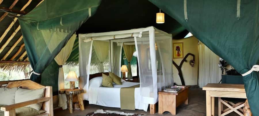 From Nairobi: 2-Day Amboseli National Park Safari - Should you book the two-day Amboseli safari?