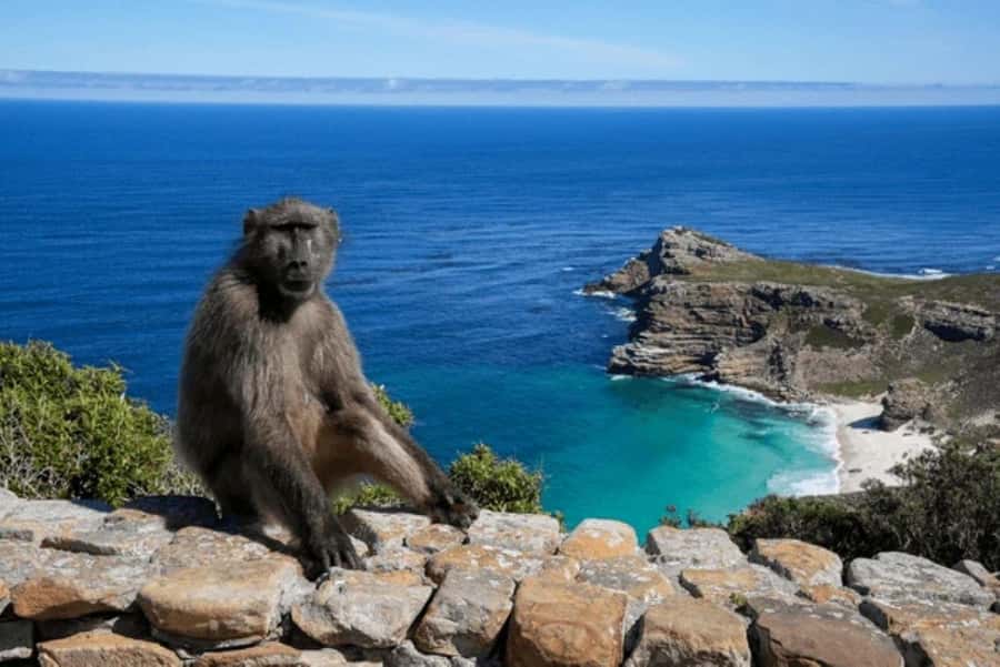 From Nairobi: 2-Day Naivasha Safari with Accommodation - Lake Naivasha by Boat