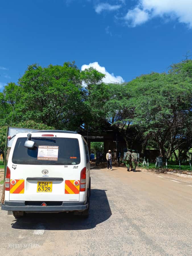 From Nairobi : 2-Days 1-Night Masai Mara Private 4WD Safari - Key points at a glance