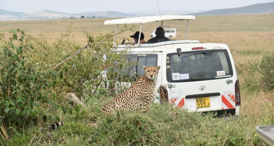 From Nairobi : 2-Days 1-Night Masai Mara Private 4WD Safari - Why this two-day Masai Mara trip works
