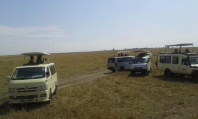 From Nairobi: 3 Days, 2 Nights Maasai Mara Group Safari