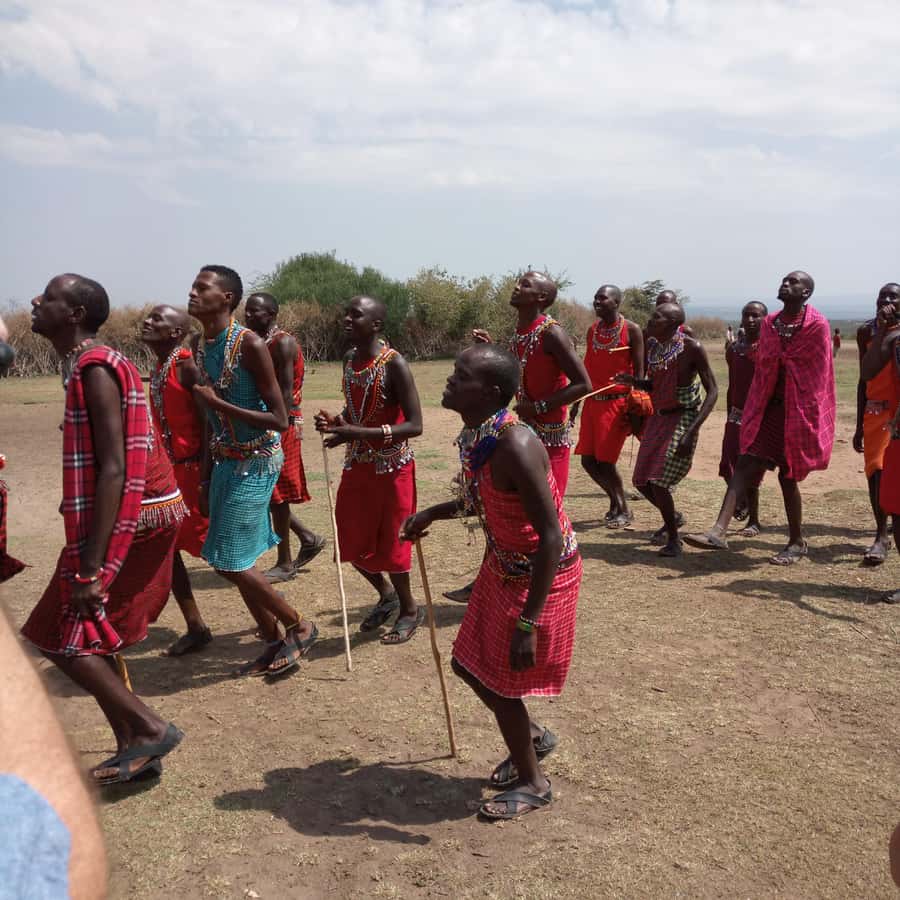 From Nairobi: 3 Days, 2 Nights Maasai Mara Group Safari - Day two: the Mara’s full wildlife day