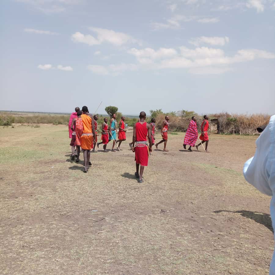 From Nairobi: 3 Days, 2 Nights Maasai Mara Group Safari - When to go and how to prepare
