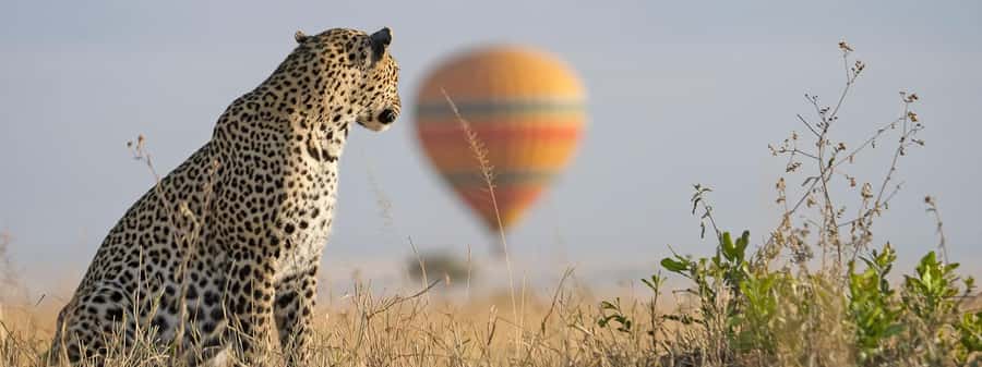 From Nairobi:3-Days 2-Nights Maasai Mara Group Safari in 4WD - Key points to know before booking