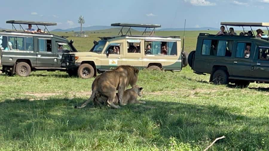 From Nairobi:3-Days 2-Nights Maasai Mara Group Safari in 4WD - Day three: returning to Nairobi by 3:30 PM