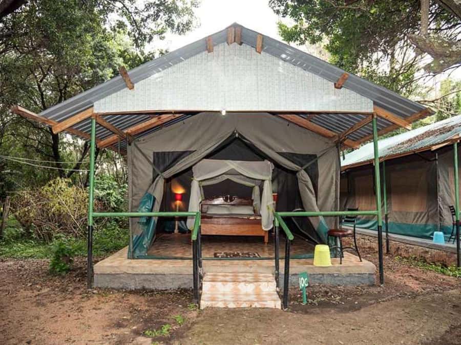 From Nairobi: 3 Days 2 Nights Masai Mara Group Safari - Should you book the three-day Maasai Mara safari?