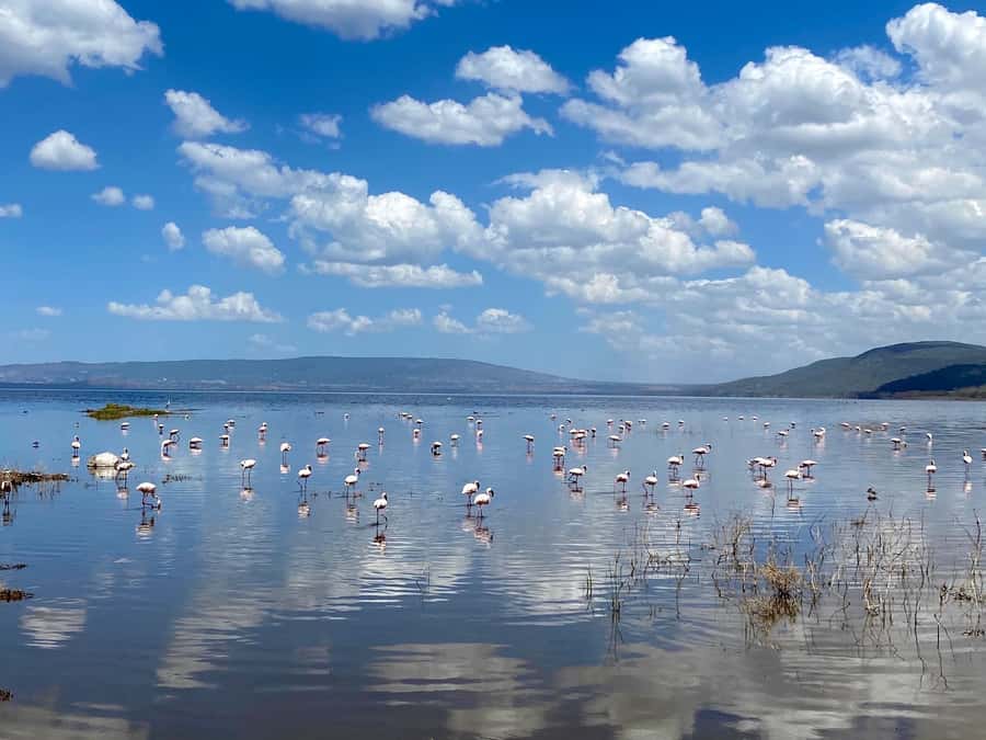 From Nairobi: 7 Days Masai Mara, Nakuru, and Amboseli Safari - Day 5: Hell’s Gate, then the long road to Amboseli