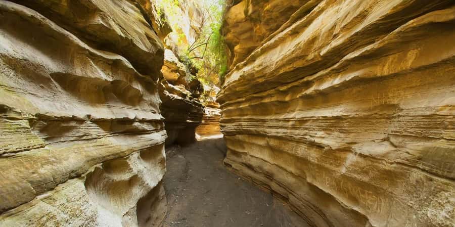 From Nairobi: Day Trip to Lake Naivasha and Hell's Gate - A long day from Nairobi to the Rift Valley