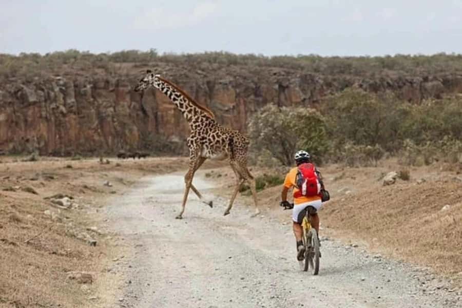 From Nairobi: Day Trip to Lake Naivasha and Hell's Gate - Lunch and the order of the afternoon
