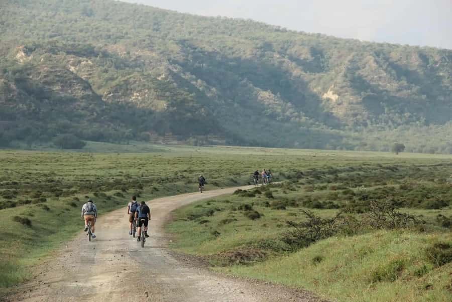 From Nairobi: Day Trip to Lake Naivasha and Hell's Gate - What the $80 price really covers