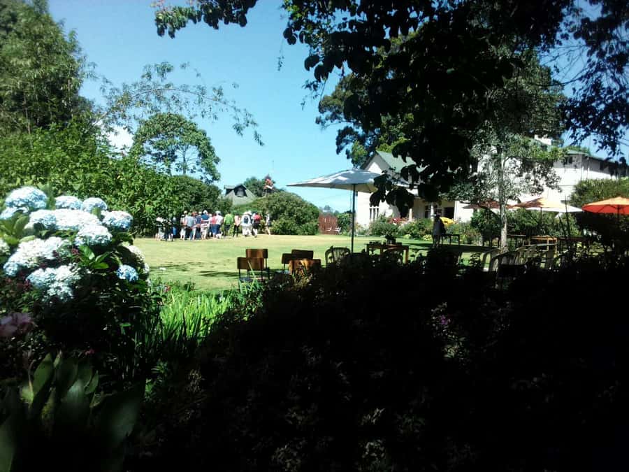 From Nairobi: Kiambethu Tea Farm Tour & Lunch - What the $160 price really buys