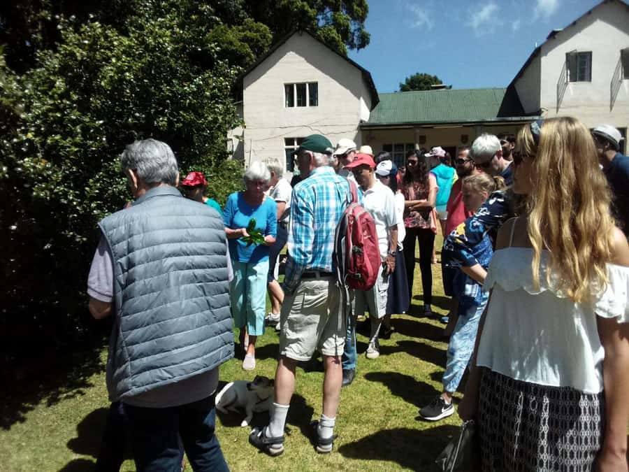 From Nairobi: Kiambethu Tea Farm Tour & Lunch - Who will enjoy this six-hour outing