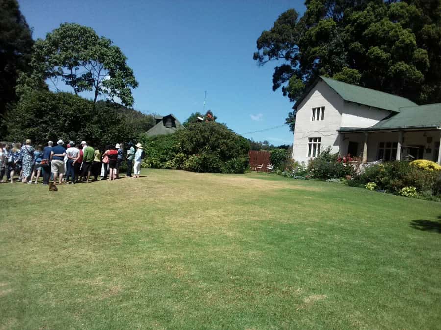 From Nairobi: Kiambethu Tea Farm Tour & Lunch - Should you book Kiambethu Tea Farm?