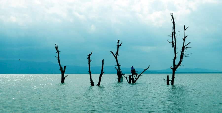 From Nairobi: Lake Naivasha and Hell's Gate Park Day Tour - A Maasai village visit adds human context