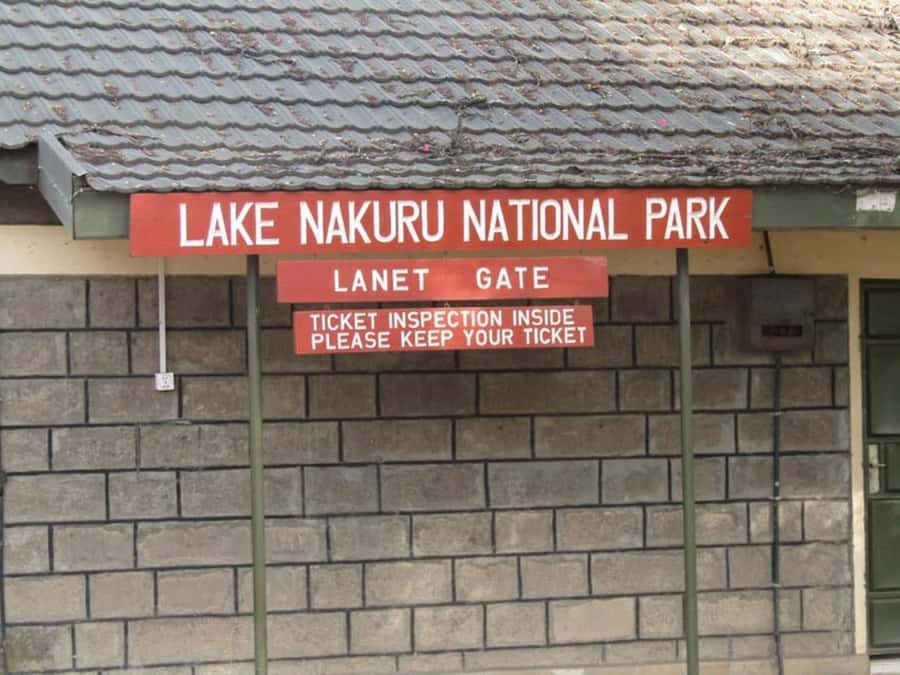 From Nairobi: Lake Nakuru National Park Full-Day Tour - Flamingos, water, and bird country