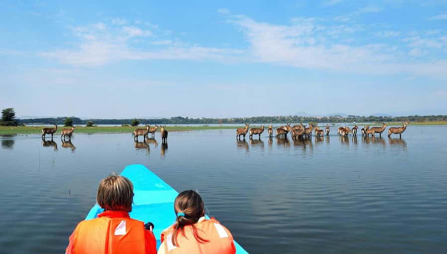 From Nairobi: Lakes Nakuru & Naivasha National Park Day Tour - The early road to Lake Nakuru
