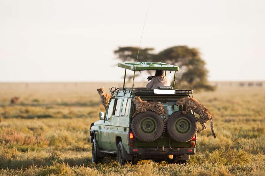 From Nairobi: Maasai Mara 3Day Budget Safari Holiday on Jeep - Nairobi to the Great Rift Valley viewpoint