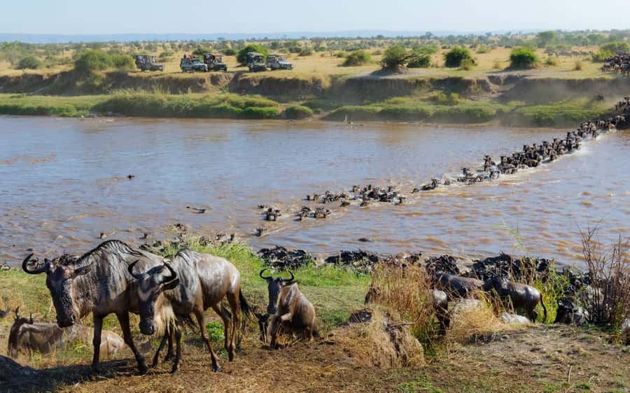 From Nairobi: Masai Mara 3-day Camping Safari by Jeep - The Land Cruiser matters more than the brochure wording