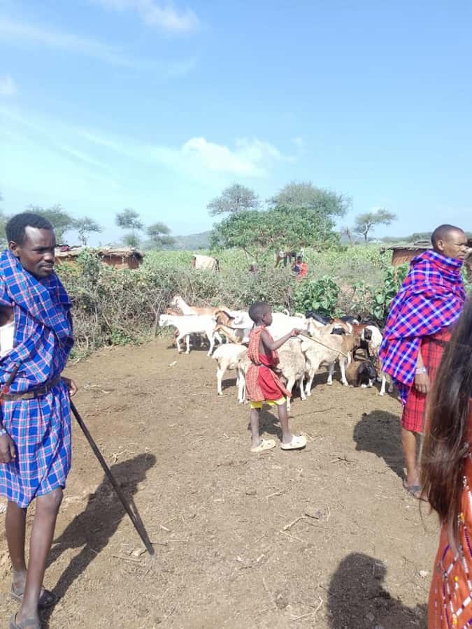 From Nairobi: Masai Tribe Village Visit - Should you book it?