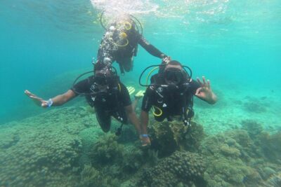 Full Day Dolphin Watching with Snorkeling in Wasini