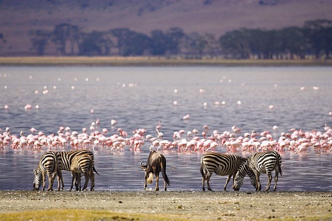 Full-Day Lake Nakuru National Park from Nairobi - The 6:30 am departure from Nairobi