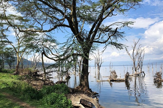 Full-Day Lake Nakuru National Park from Nairobi - The price and what you receive for $367