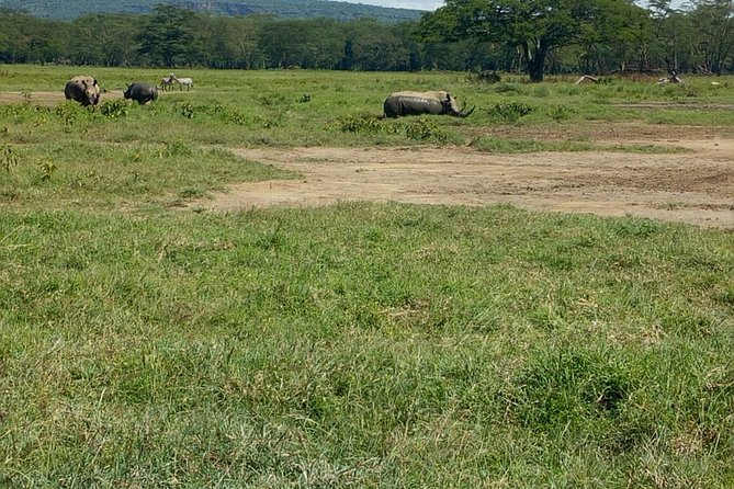 Full-Day Lake Nakuru National Park Private Tour from Nairobi - Key points to know before you book